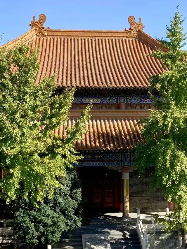 藏在喧囂都市中的皇家寺廟｜雲居寺