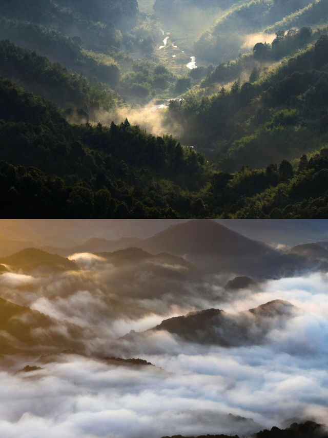 寒假惠州1日遊｜愛好這3條路線｜廣州周邊