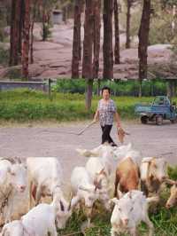 青州後勁太大了，被嚴重低估的山東小城