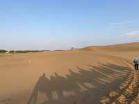 在銀川·沙坡頭沙漠區和黃河區遊玩贊贊贊