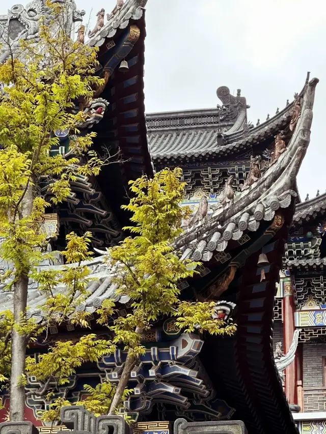 Travel guide for Dongshan Temple in Shenzhen