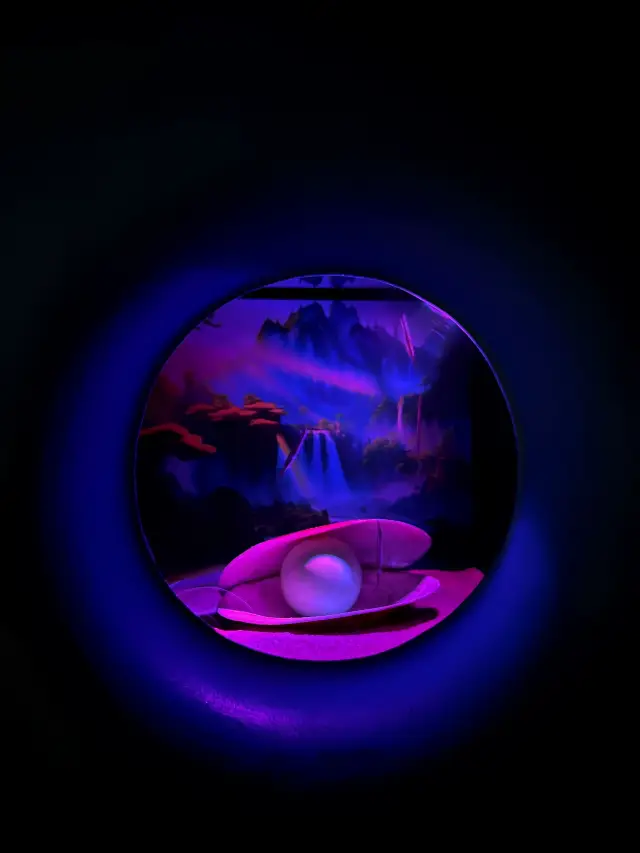 深圳海洋館!!超好拍三個區域遊玩:夢幻水母繽紛珊瑚