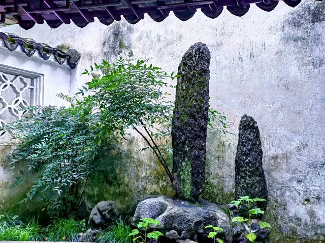 苏州のマイナーな古典的な庭園|怡園
