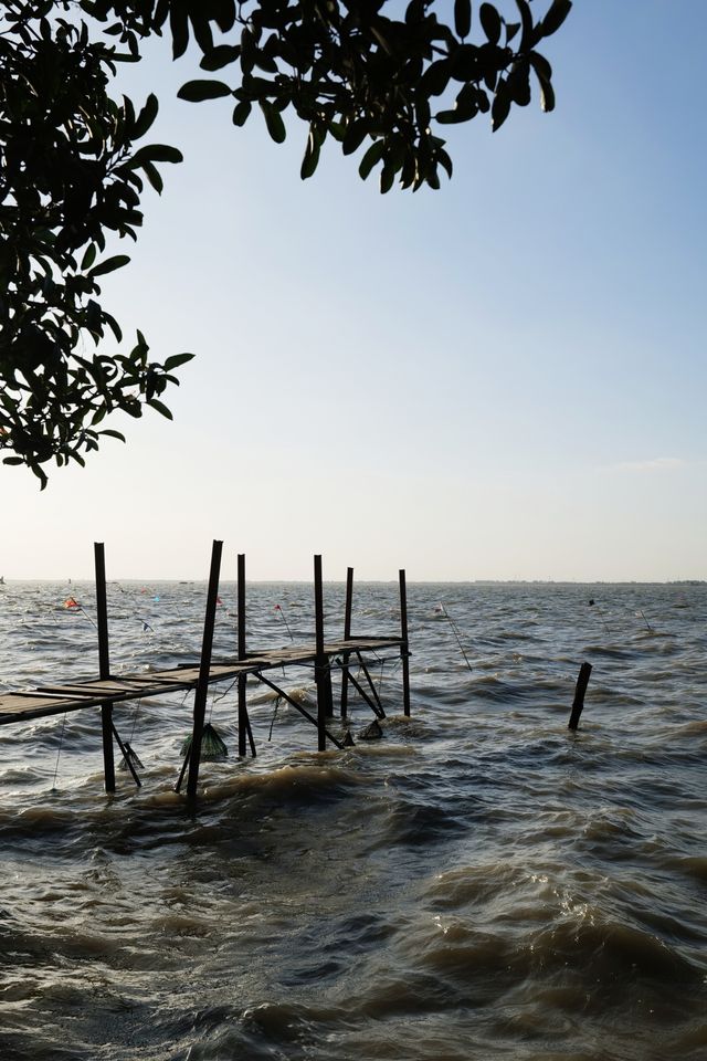 發現上海｜青浦半日遊，根本玩不夠好嘛