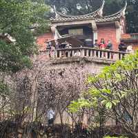 晉江訪古，閩南的老建築是活的