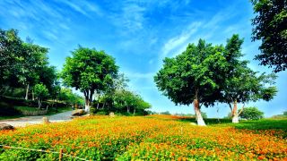 Hainan has another tourist attraction, suitable for parent-child travel