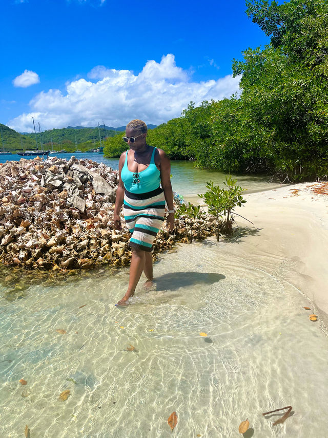 🏝️ Grenada 🇬🇩 || Hog Island 🏝️ 