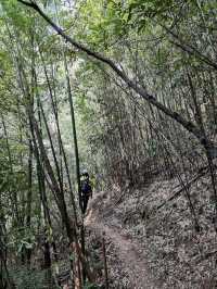 廣西來賓金秀大瑤山五指山頂