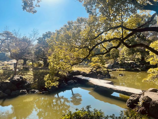 東京超小眾景點：經典日式庭園