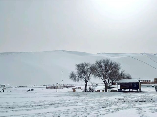 下雪的鳴沙山太美辣敦煌鳴沙山月牙泉攻略來啦