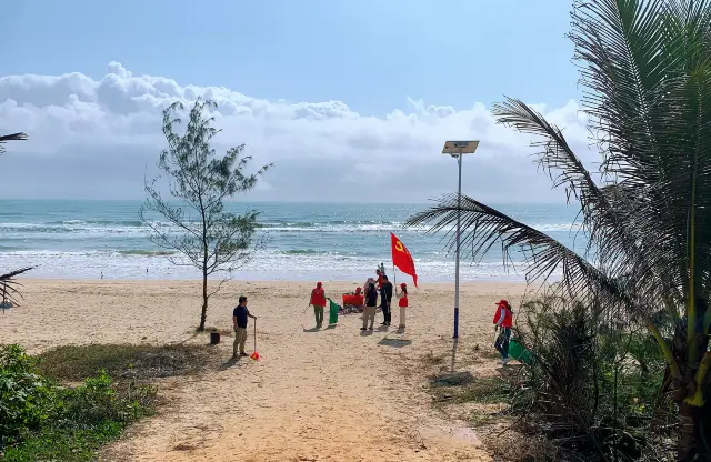 หาดทราย แสงอาทิตย์ คลื่นทะเล มะพร้าว～ตะวันออกของป่ามะพร้าว