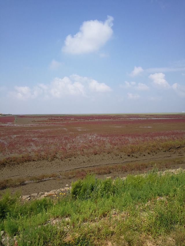 紅海灘國家風景廊道