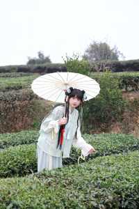 春衫薄，茶山綠體驗一下採茶的樂趣