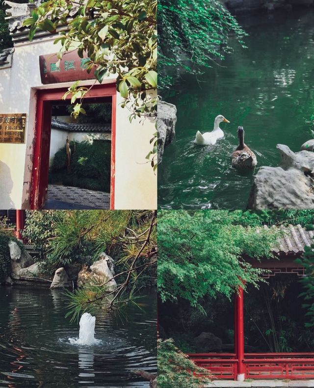 鄭州春日好去處免費（合集）！！好看又好拍～