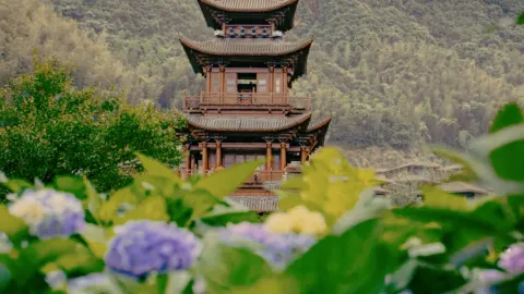 Off-the-beaten-path but incredibly comfortable travel destinations, you definitely can't miss these places! — traveler post in Fengxin