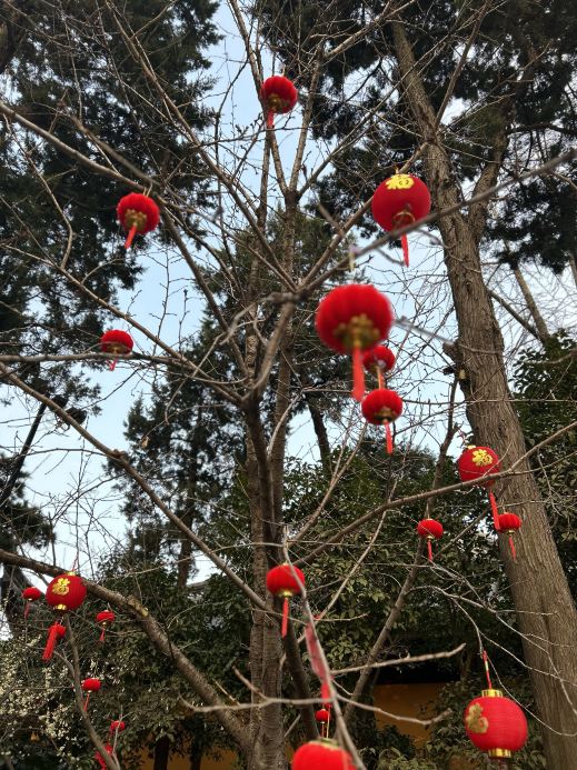 龍華寺祈福必須知道的3件事｜Trip.com 上海