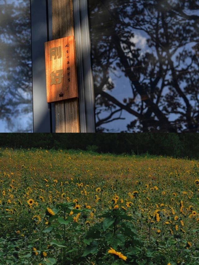 位於麗江，被山野環繞，可親近自然的民宿酒店