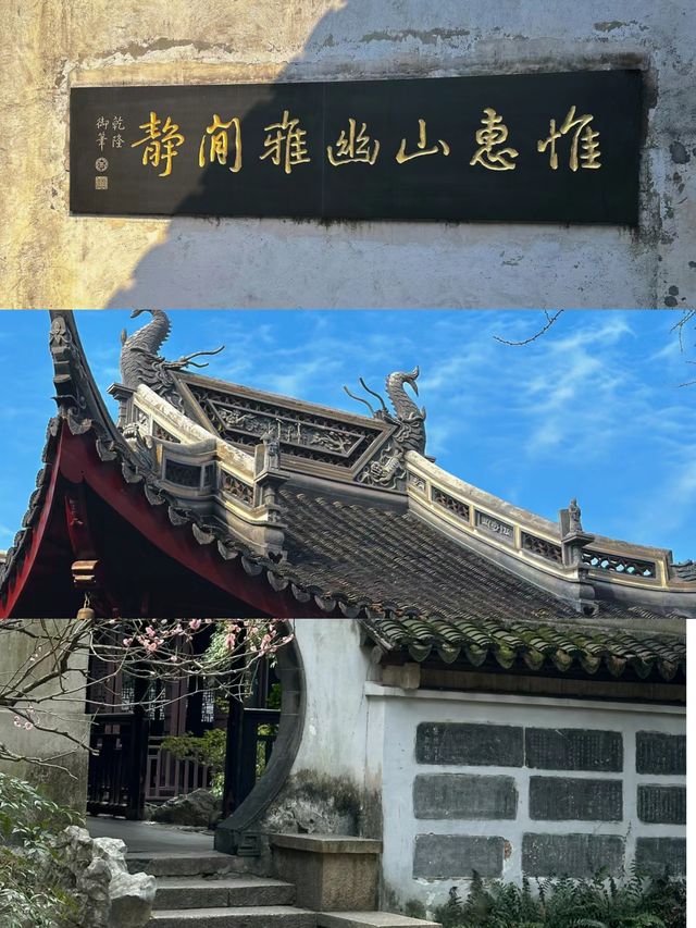 特種兵之清明如何反向旅遊 衝衝衝