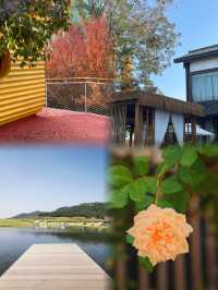 成都 白鹭灣濕地公園 ｜美如油畫宛如大自然的調色盤