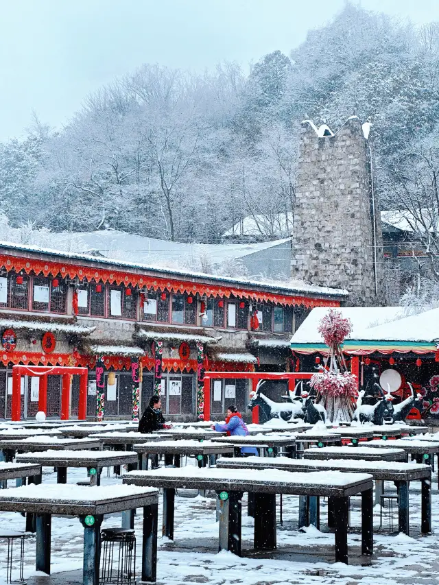 Sichuanese don't need to go to Harbin to find their own snowy world
