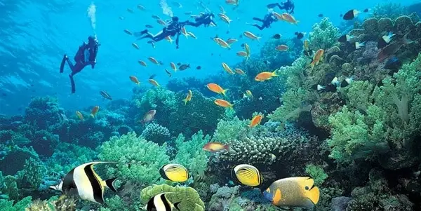 Emperor Island Diving