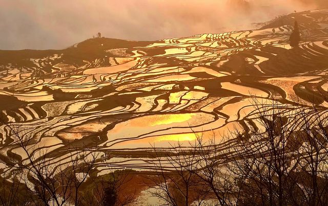 早春滇東南 溢彩天地間（七）：多依樹梯田