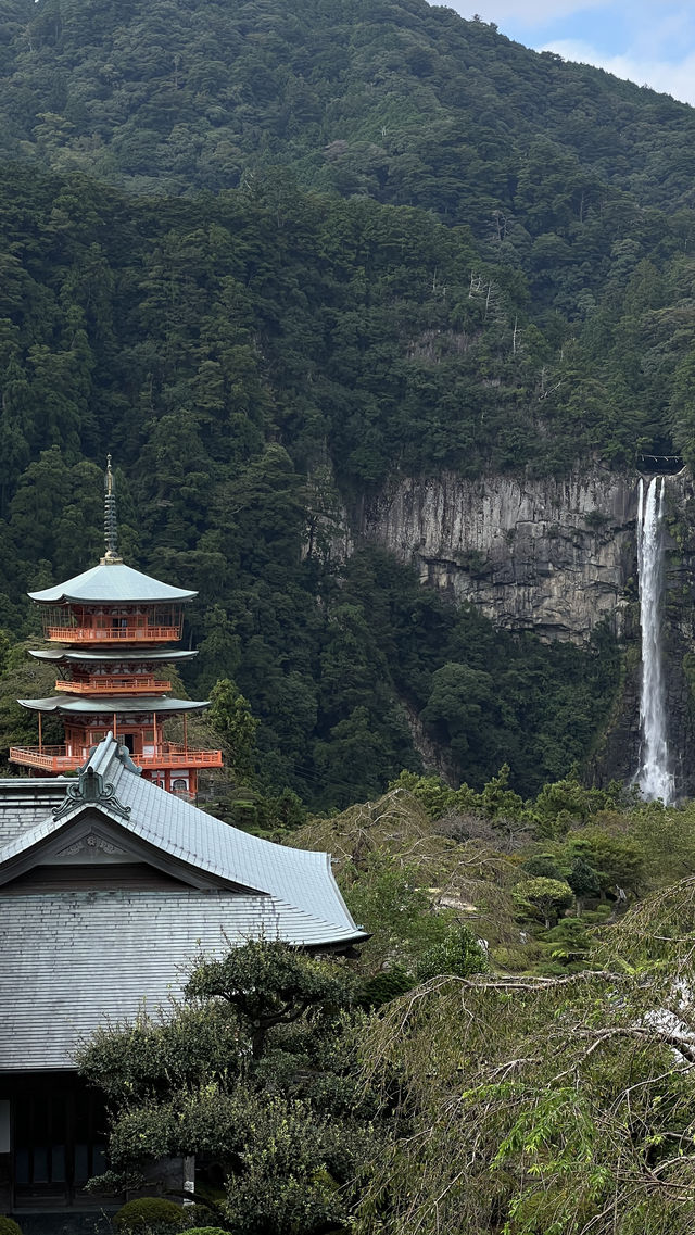 日本關西紀伊半島環線11日遊