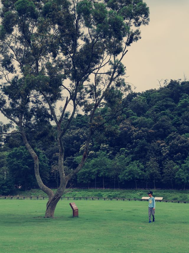沒錯，這裡是深圳!這片山野間的綠草地太治癒了!