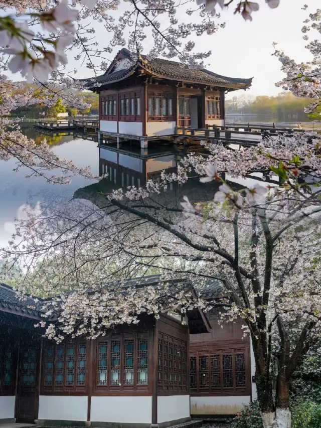 When visiting Hangzhou, you absolutely must not miss Quyuan Fenghe