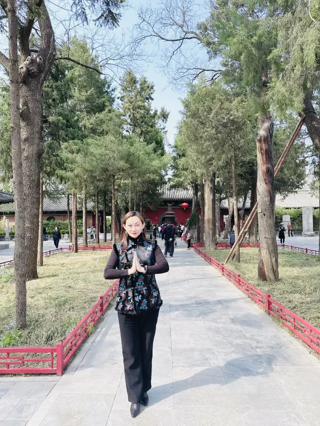 The flowers at Fayuan Temple have blossomed