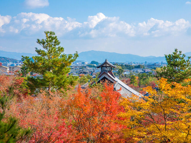 日本旅行|去日本看楓葉不能錯過的地方