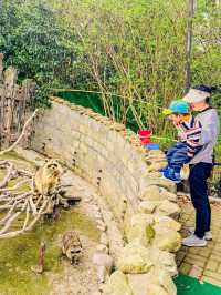 上海野生動物園一日遊｜保姆級遊玩攻略