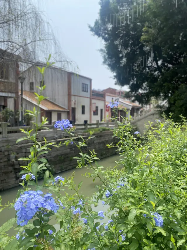 漳州古城でのリラックスした一日の旅