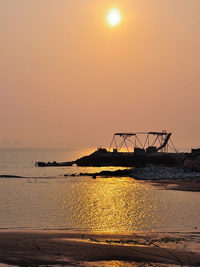 Xiamen! A treasure trove of a seafood restaurant hidden within the Minnan ancient houses✨