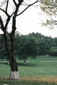 五一逛公園