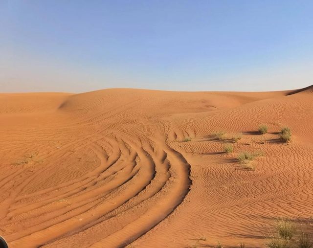 迪拜沙漠衝沙