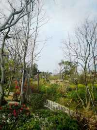 周末踏青賞花，那就來福州這個最大的綜合性公園吧！