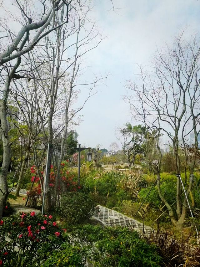 周末踏青賞花，那就來福州這個最大的綜合性公園吧！