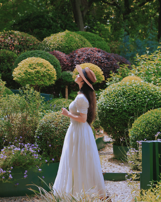 成都現實版愛麗絲的花園，真的太治癒了！