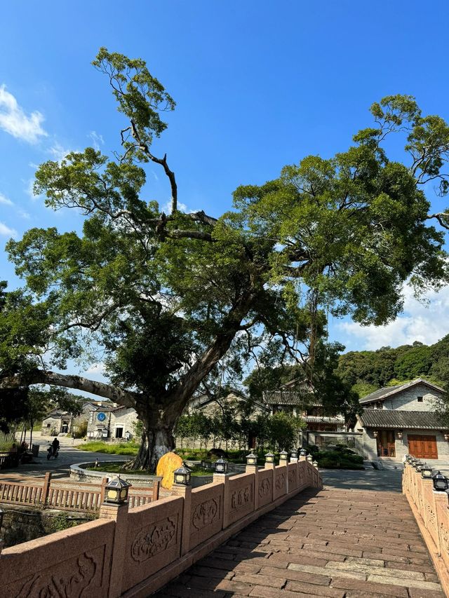 五一去吧悄悄告訴你廣州5個冷門神仙地