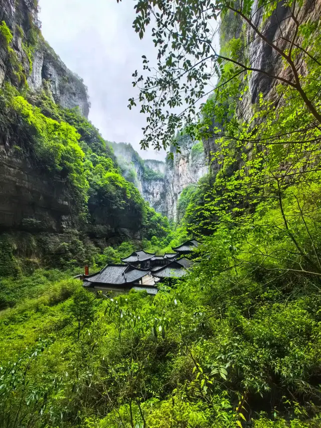 Chongqing | Internet Celebrity Check-in | You sure know how to have a diverse experience! Wulong Karst National Geology Park