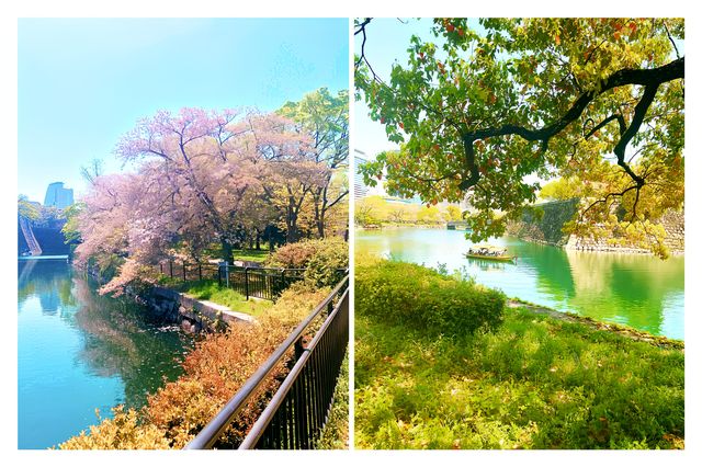 日本春遊大阪城公園