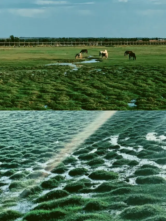 Ordos | Pursuing the wind across the vast wilderness