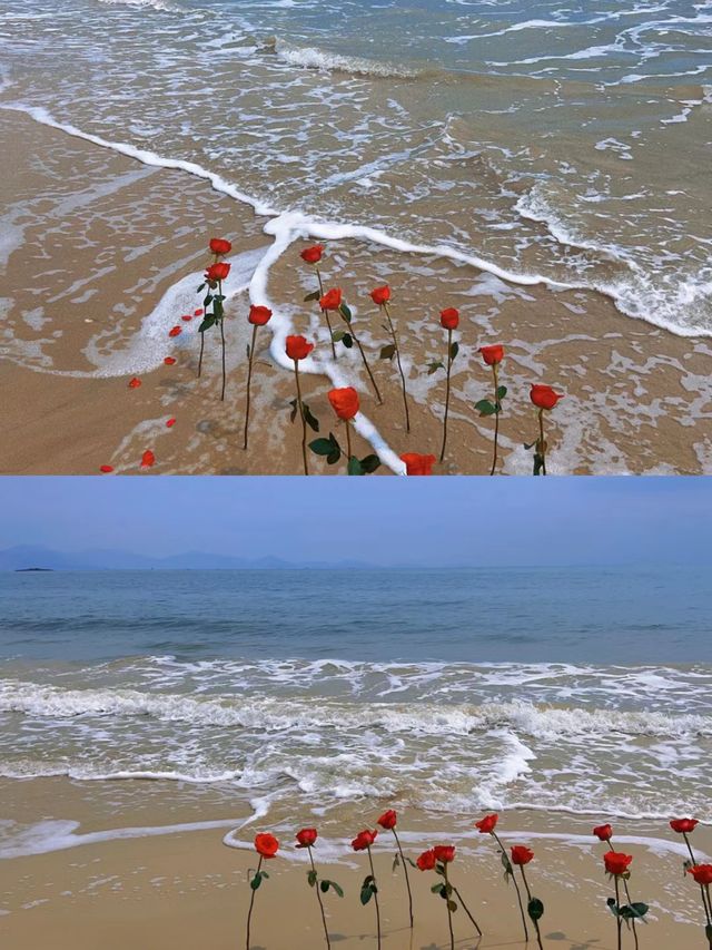大亞灣