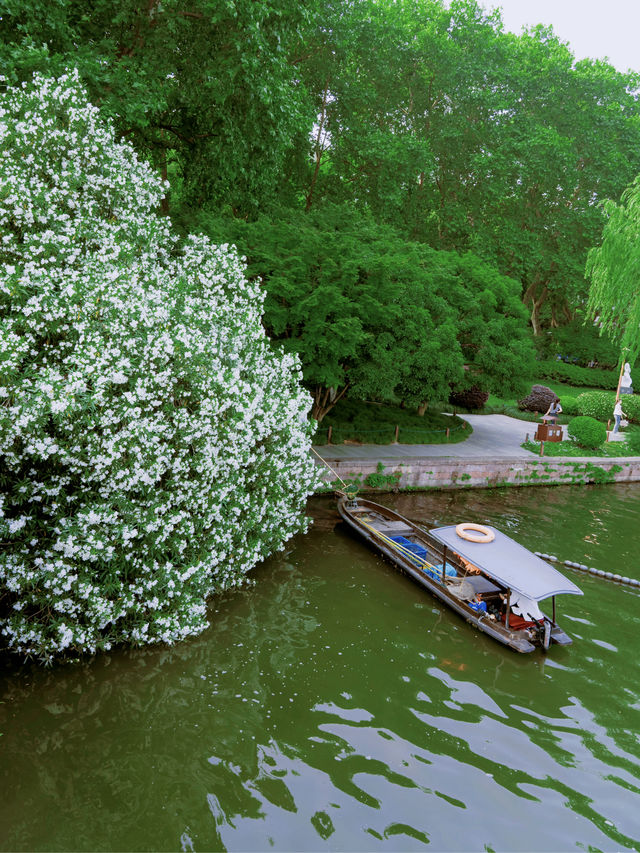 西湖夏日徒步好去處，這一巨型花瀑也太美了吧