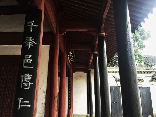 千年古縣城，慈城年糕被央視夸讚