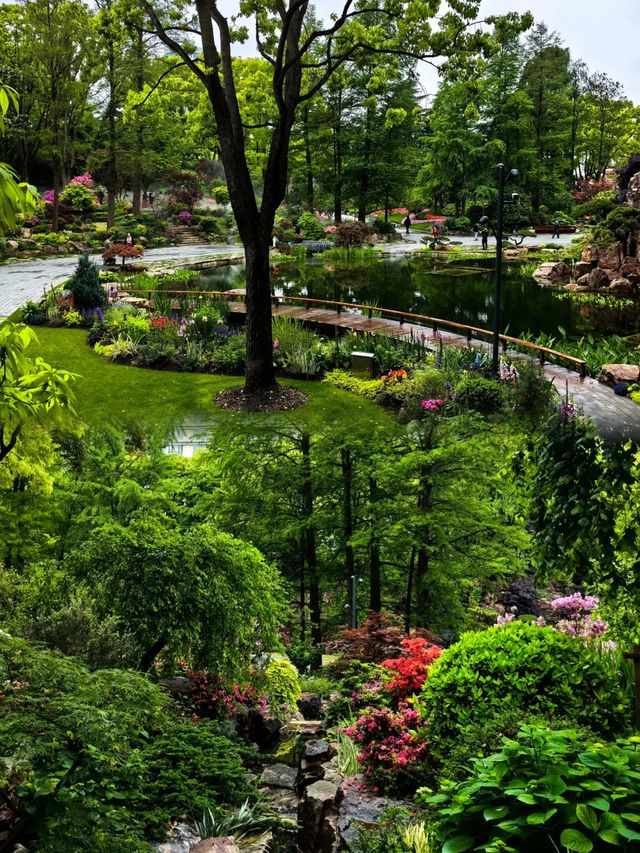 上海市中心的公園都這麼美的嘛！！