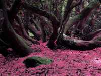 Exotic and Mysterious England
