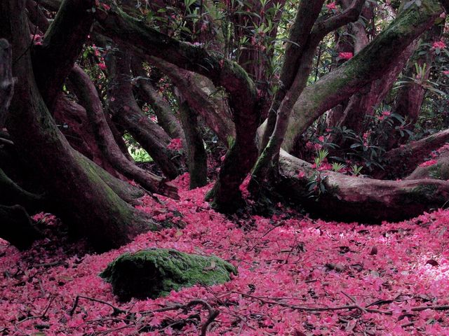 Exotic and Mysterious England