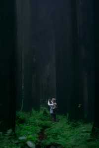 神瀑溝後山